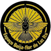 logo-beija-flor